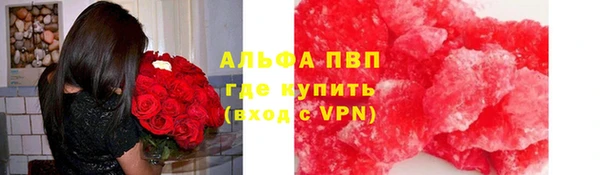 гидра Алексин