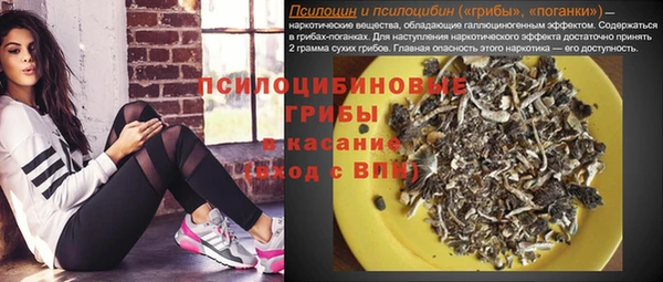 гидра Алексин