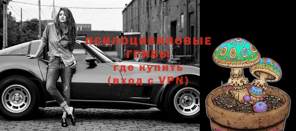гидра Алексин