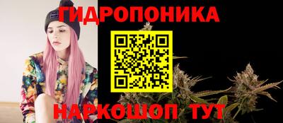 трава Северобайкальск