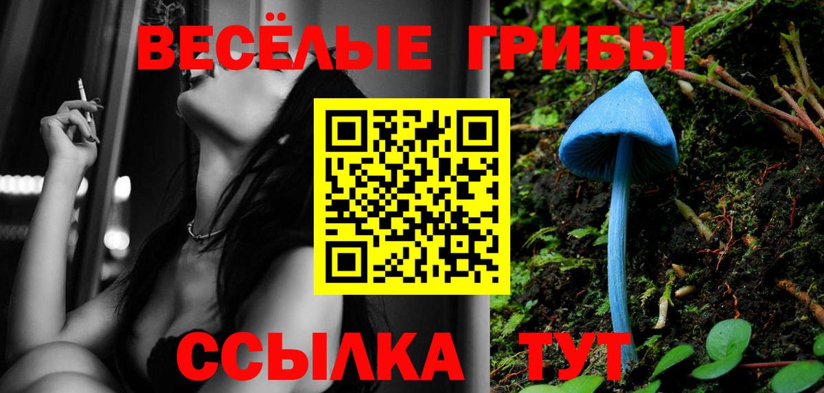 Черемхово  Псилоцибиновые грибы мицелий  Псилоцибиновые грибы Cubensis  Вход с VPN 