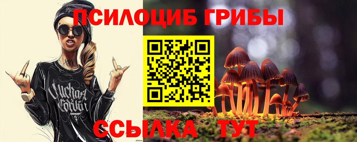 Псилоцибиновые грибы MAGIC MUSHROOMS Черемхово